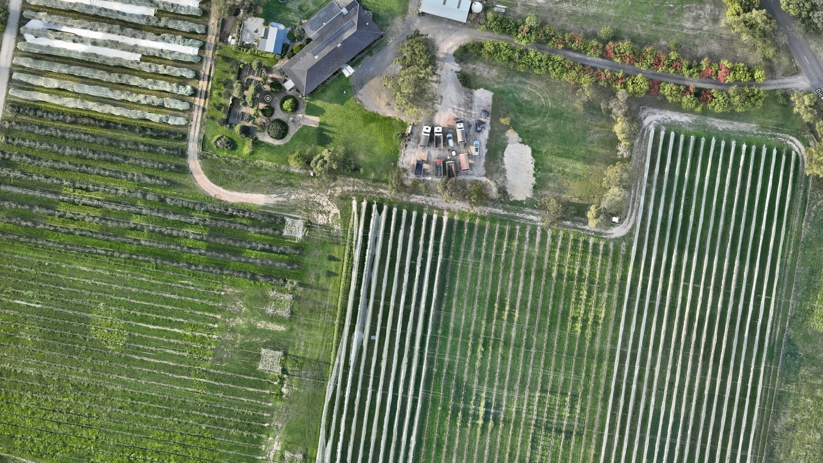 Agricultural property orthomosaic